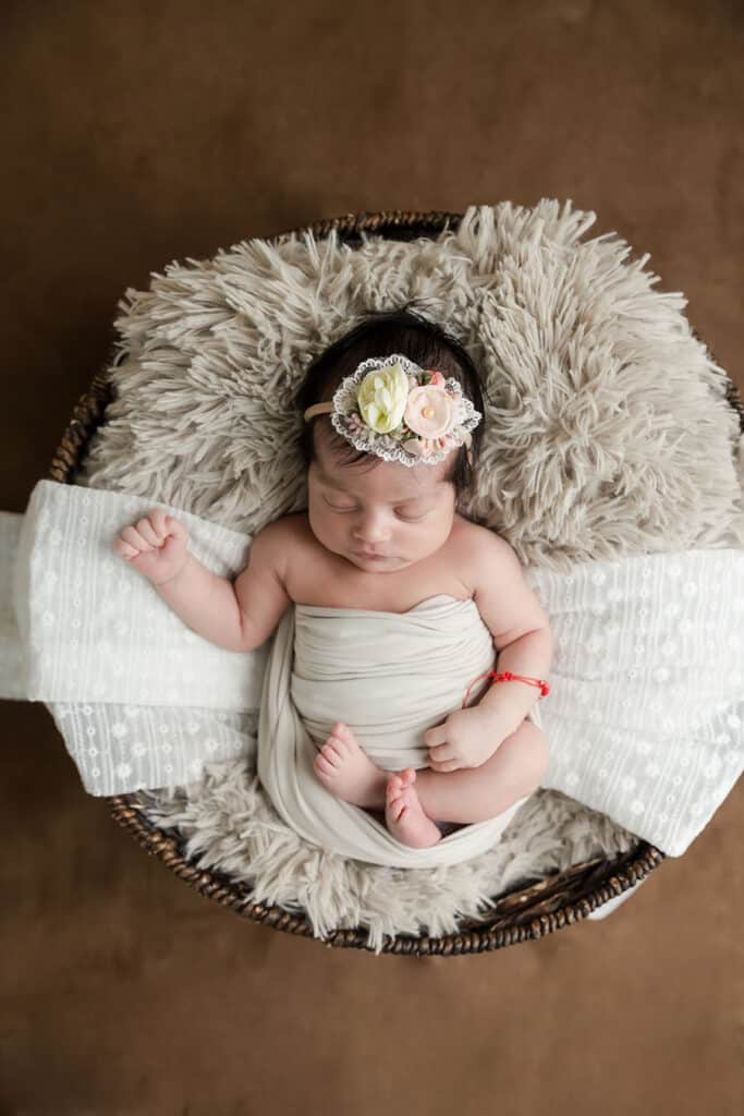 utah newborn portrait brown backdrop