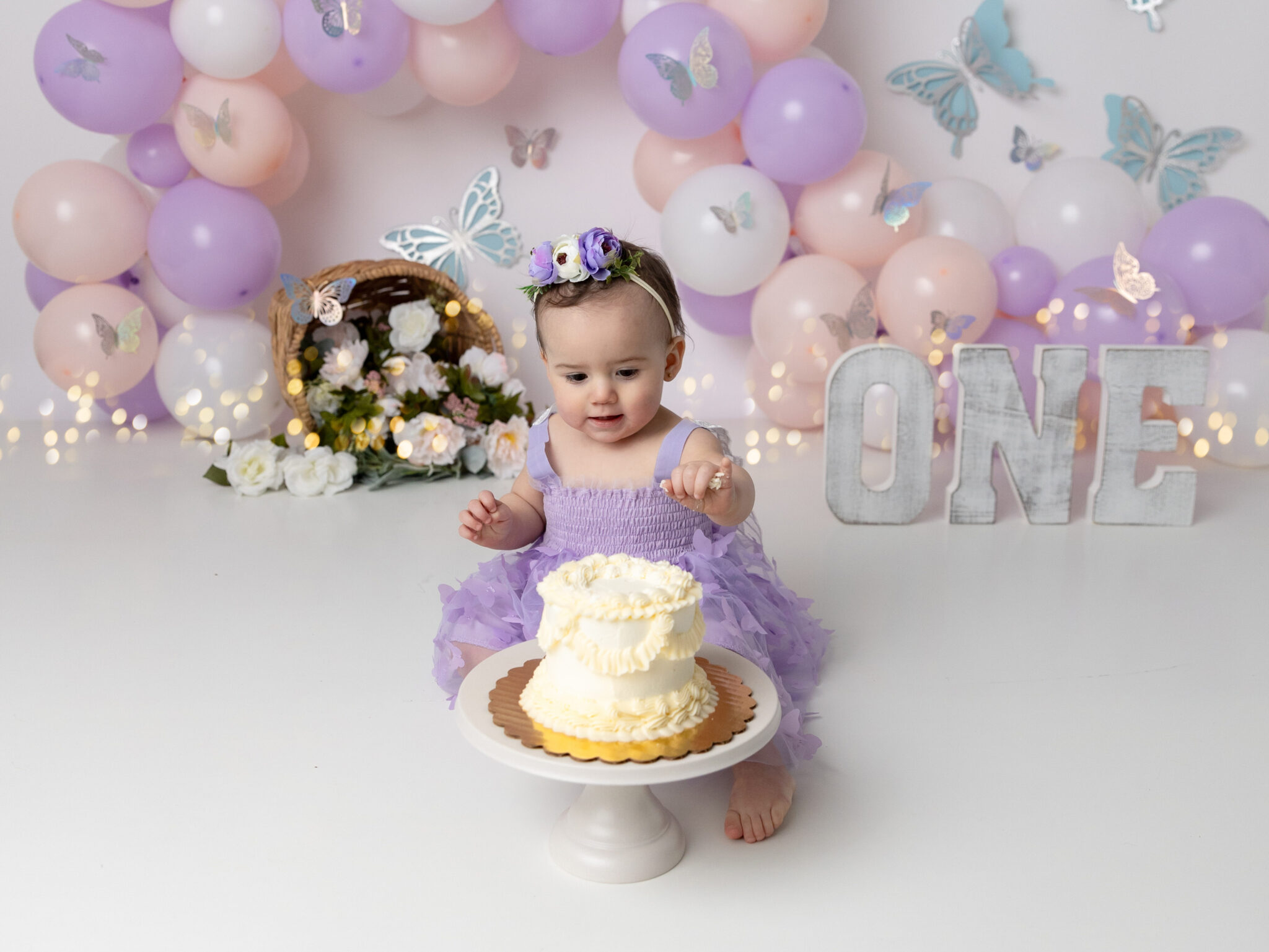 utah county cake smash photographer girl on butterfly cake smash backdrop 