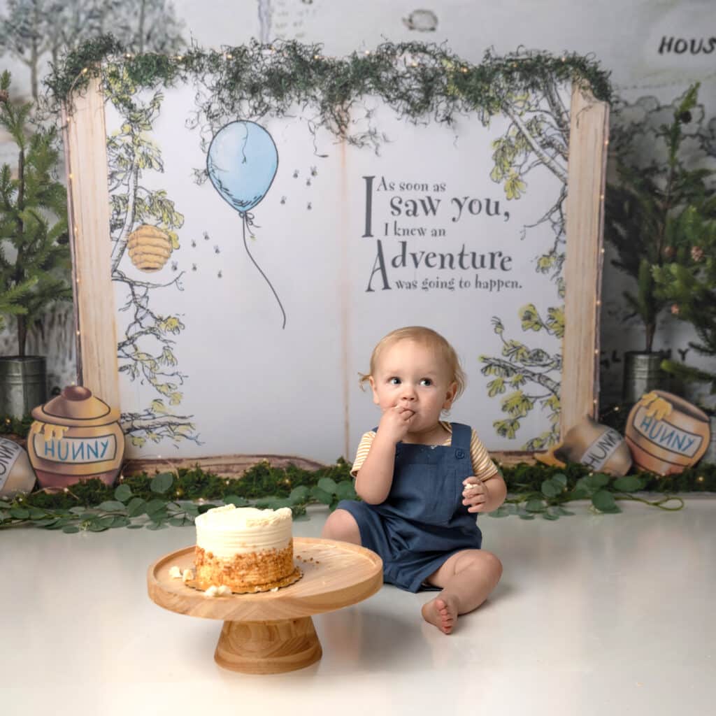 first birthday session cake smash Winnie the Pooh backdrop